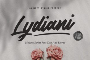 Why Lydiani Duo Makes Your Small Business Look More Polished Instantly